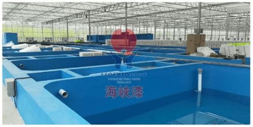 养殖漆 营造优质水产品生产环境的创新实践与广泛认可