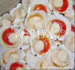 荣成市海思特水产品冷冻厂 构筑海洋美味的保鲜基石