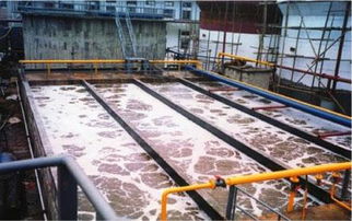 净水器 守护家庭饮水健康的真相与力量