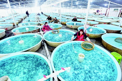 贵州振兴农村经济深刻产业革命一年纪实（下篇） 水产品产业破浪前行