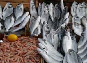 水产品加工业的瓶颈与破局之路