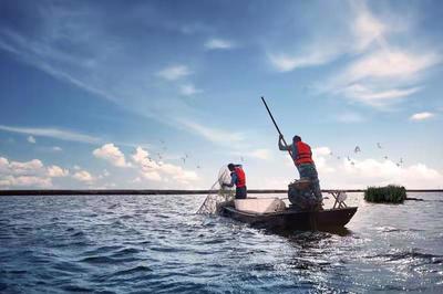 山东无棣渤海水产 培育民族品牌，融入世界舞台的水产新篇章